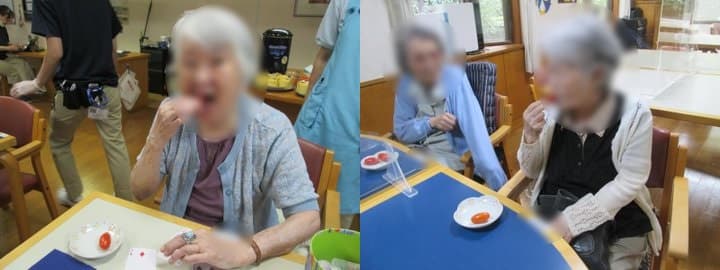 ミニトマト収穫の様子２