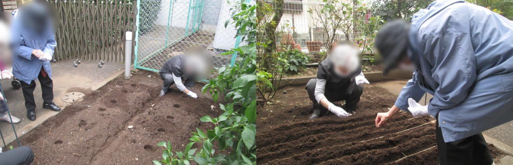 菜園の種まきの様子１