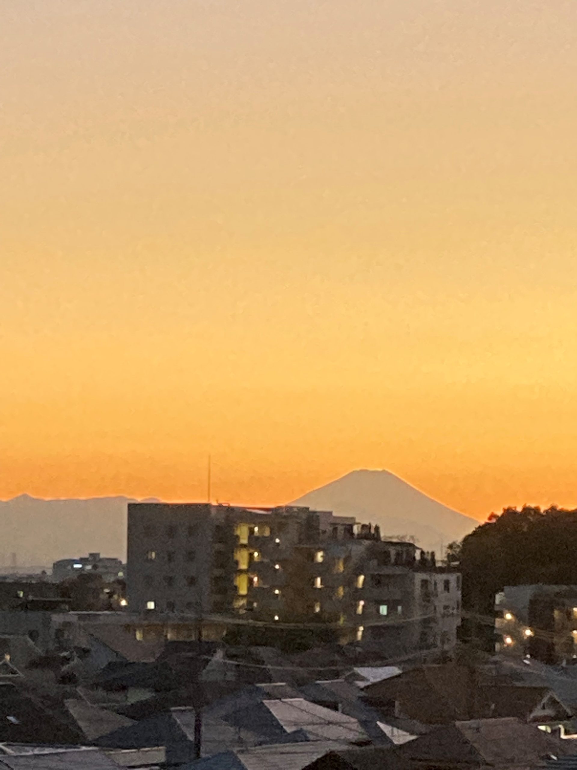 富士山