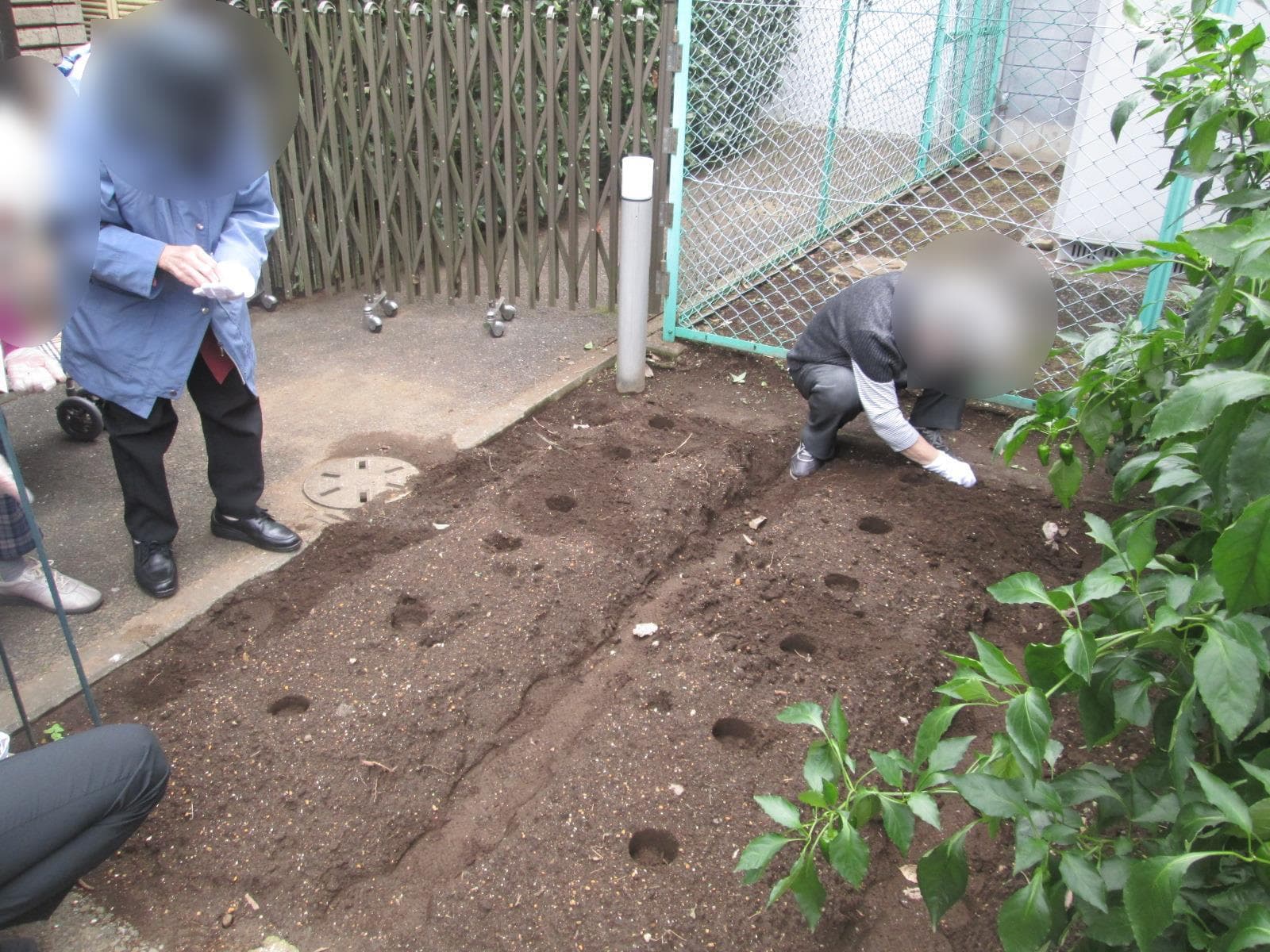 パーク・ヴィラ農園種まき