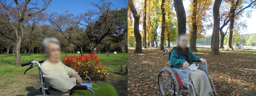 お散歩の様子１