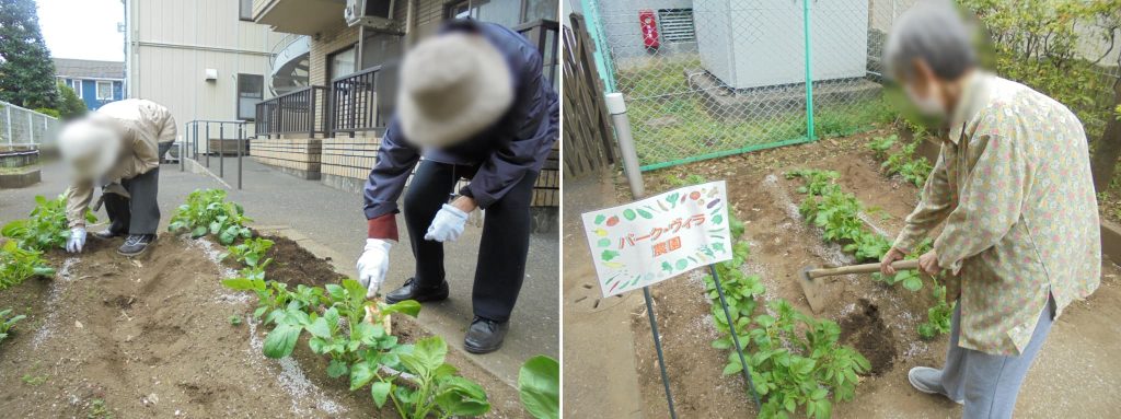 菜園の手入れ２