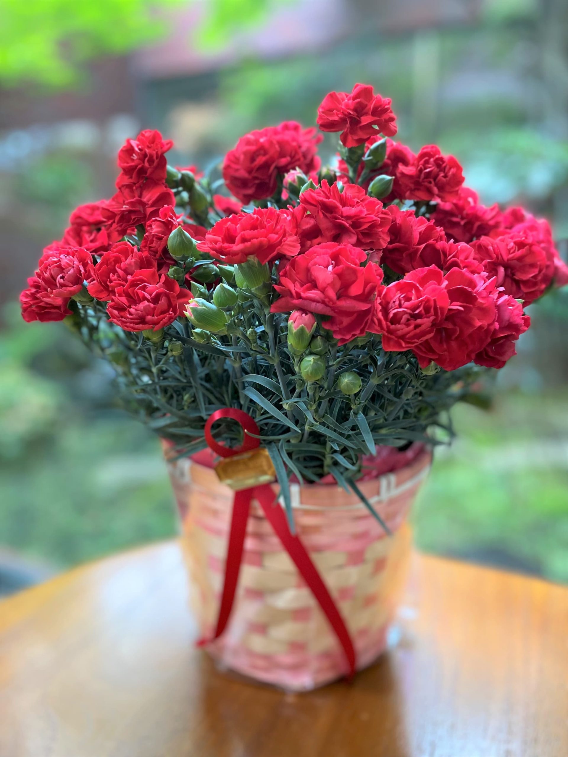 母の日～小金井ヘルス・ケア・マンション～