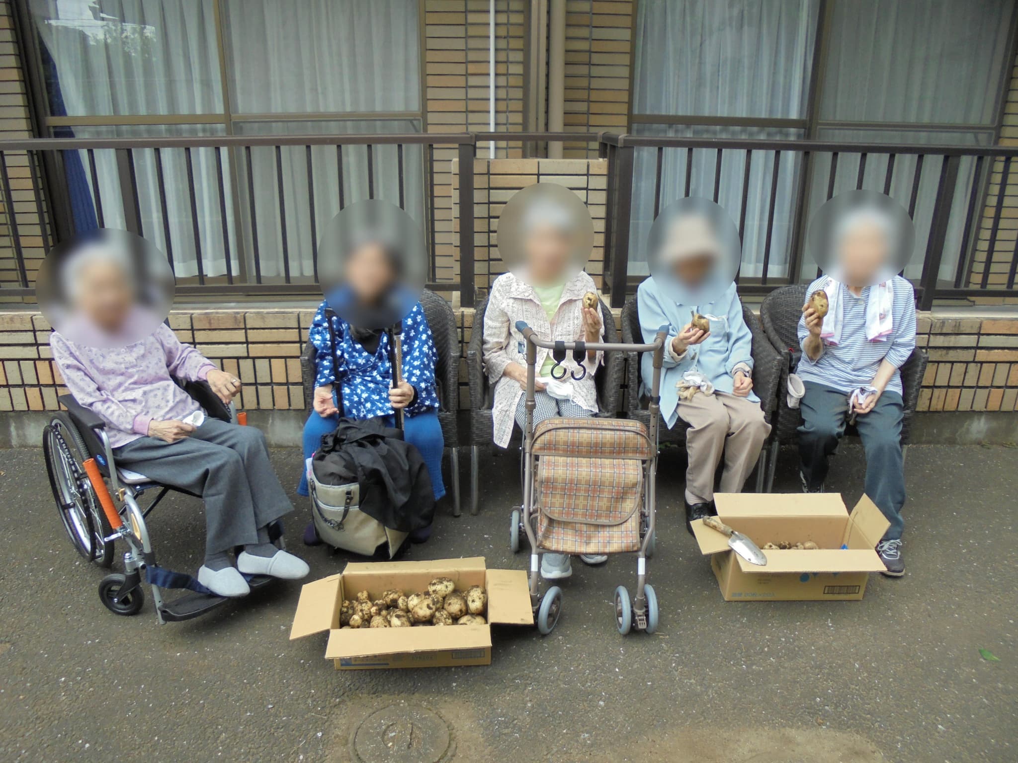 パーク・ヴィラ農園～ジャガイモの収穫～