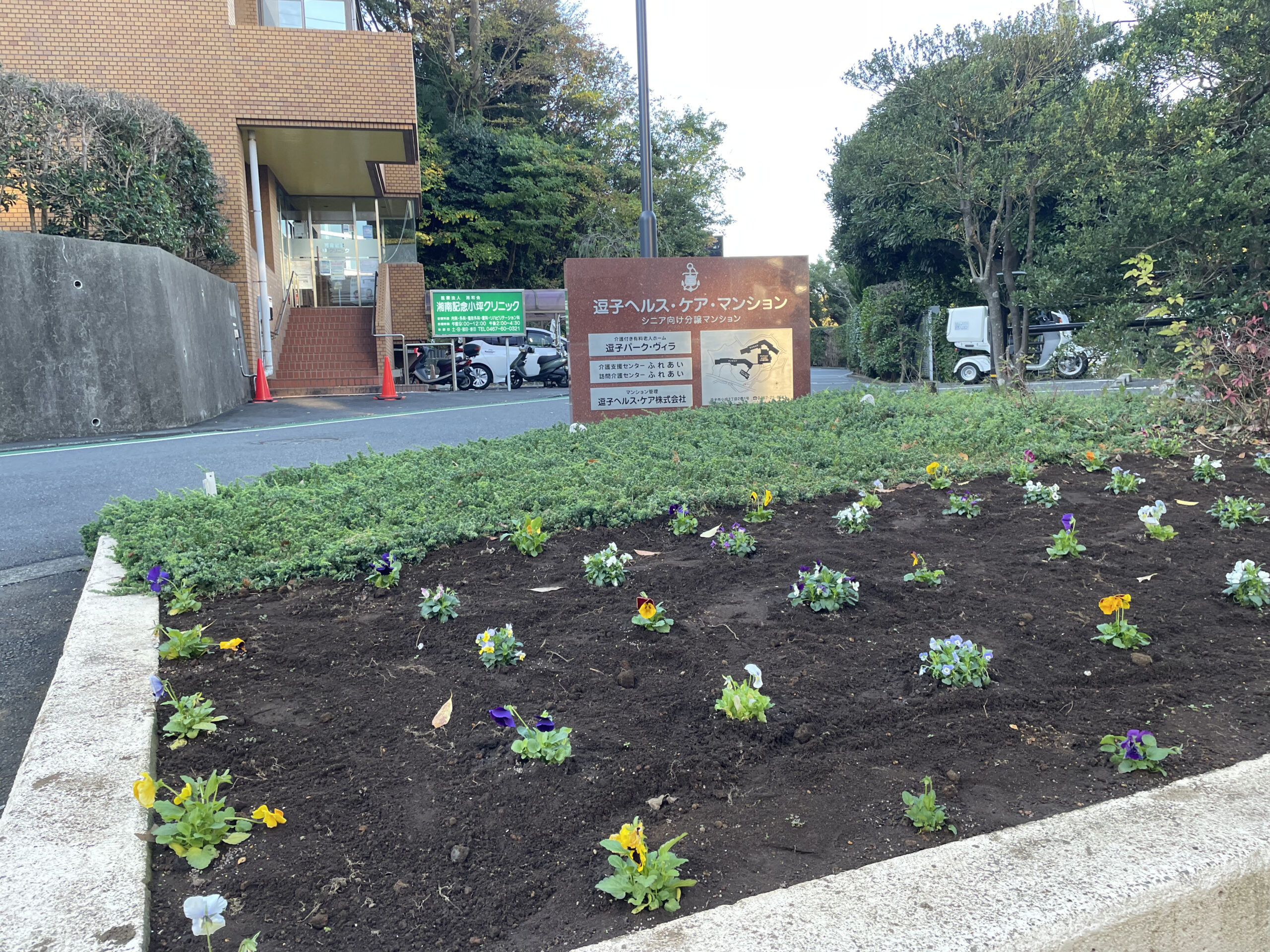 庭園の草花植え替え