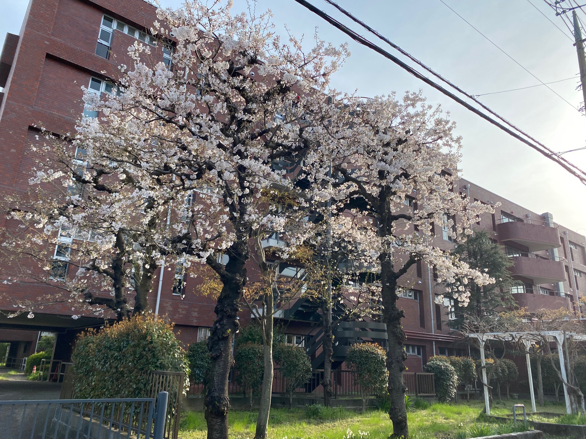 中庭でシャボン玉♪