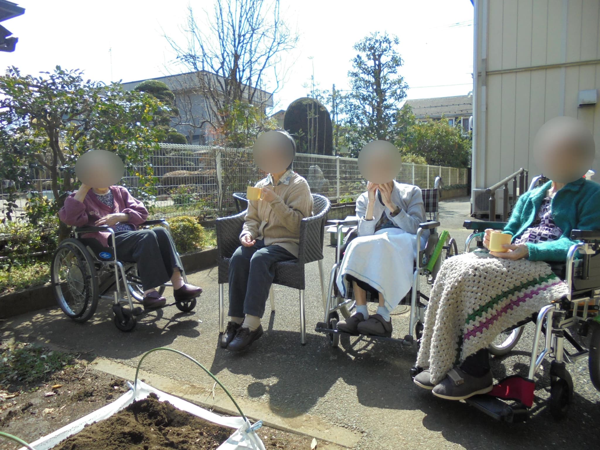 じゃがいもの植え付け