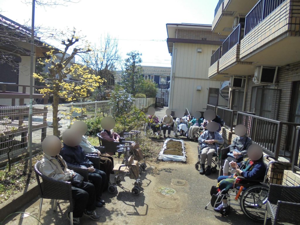 ジャガイモの苗植えの様子２