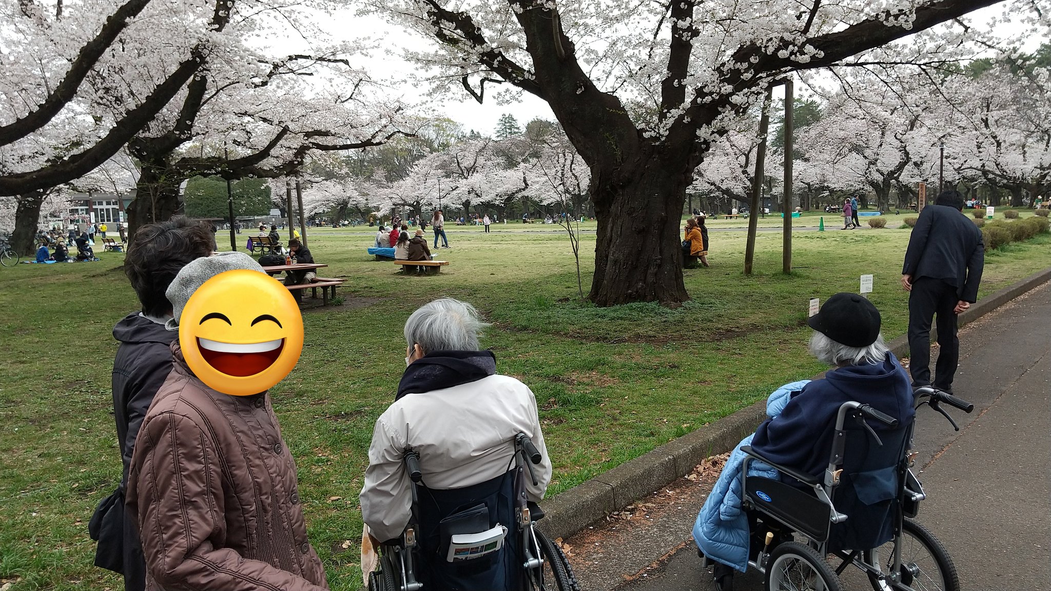 じゃがいもの植え付け