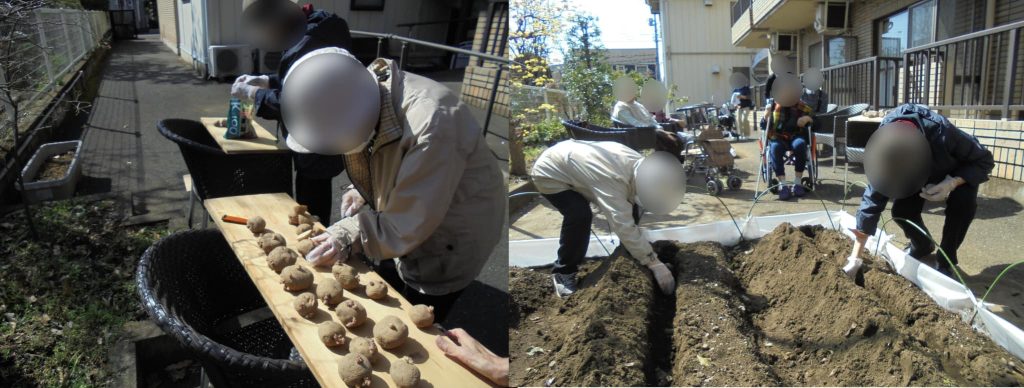 ジャガイモの苗植えの様子１