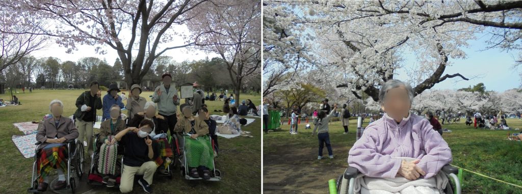 小金井公園へ散歩２