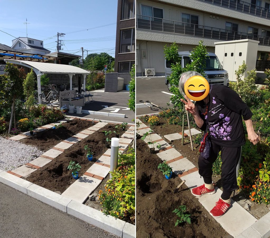 畑の苗植えの様子1