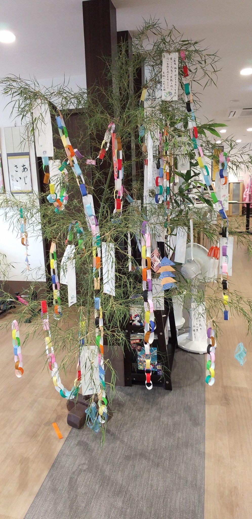 さつまいもの苗植え