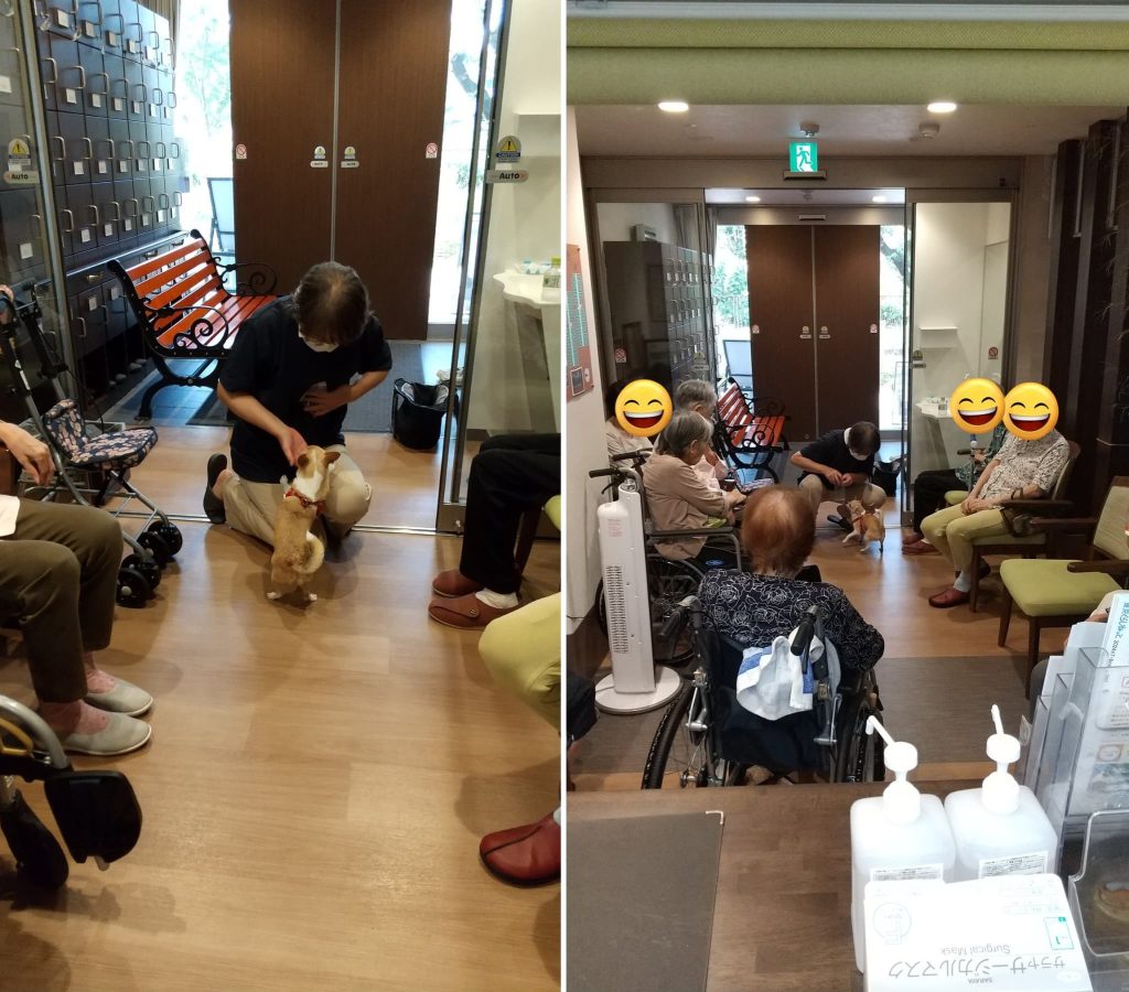 アニマルセラピー１