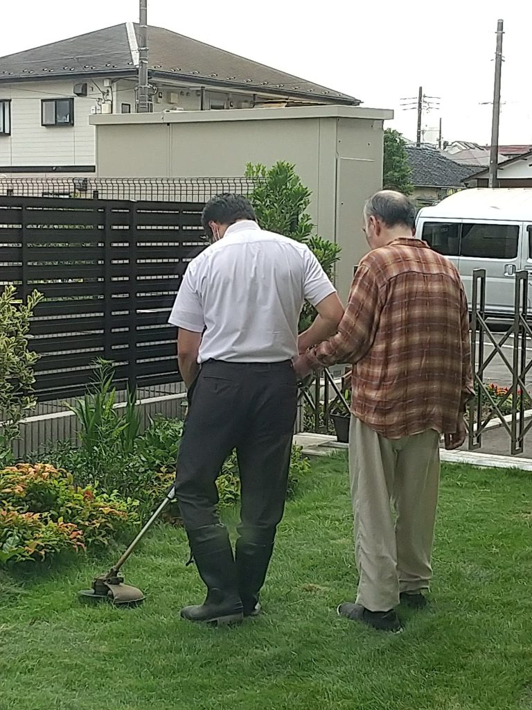 中庭の芝刈り１