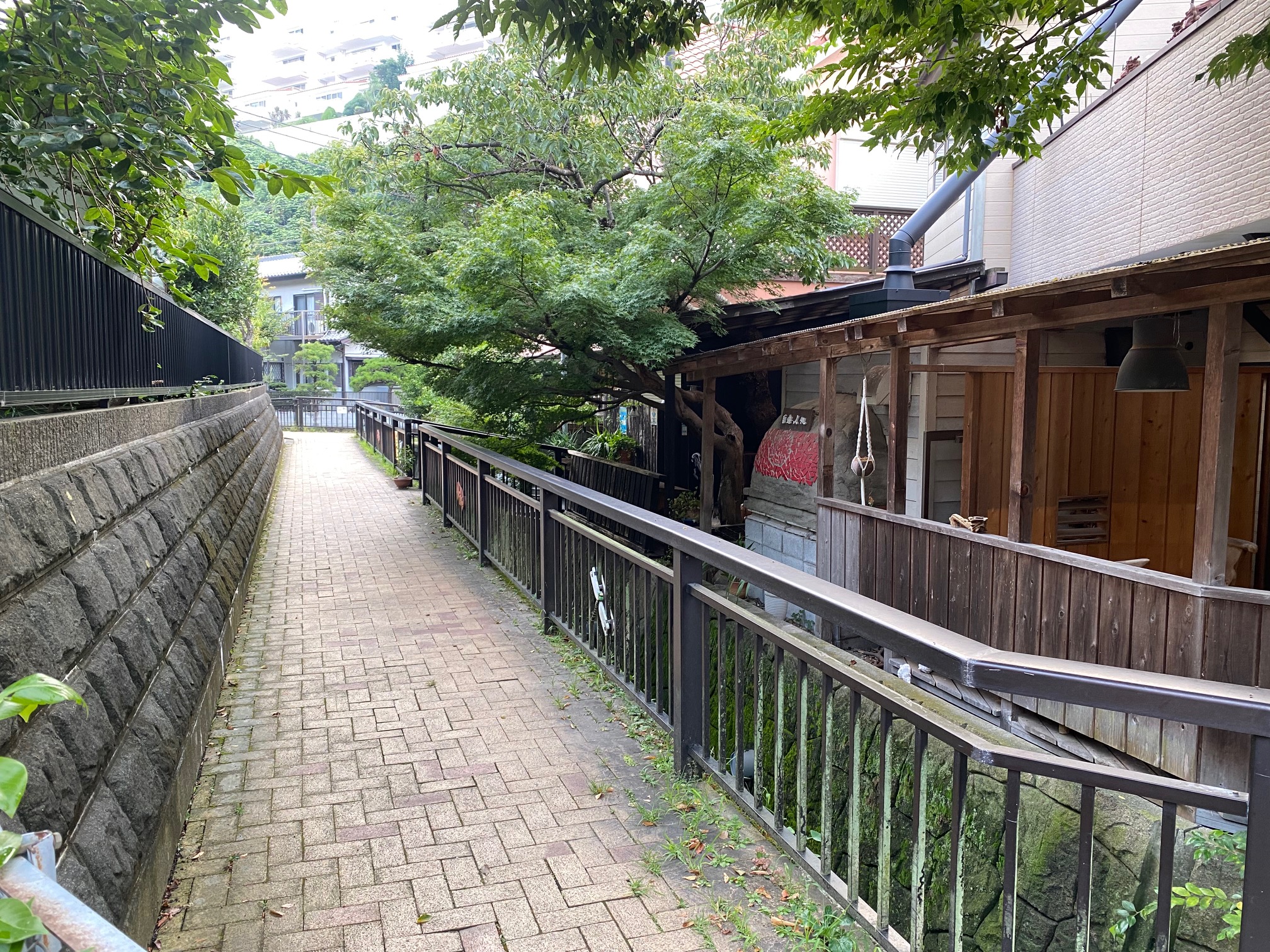 周辺のご紹介