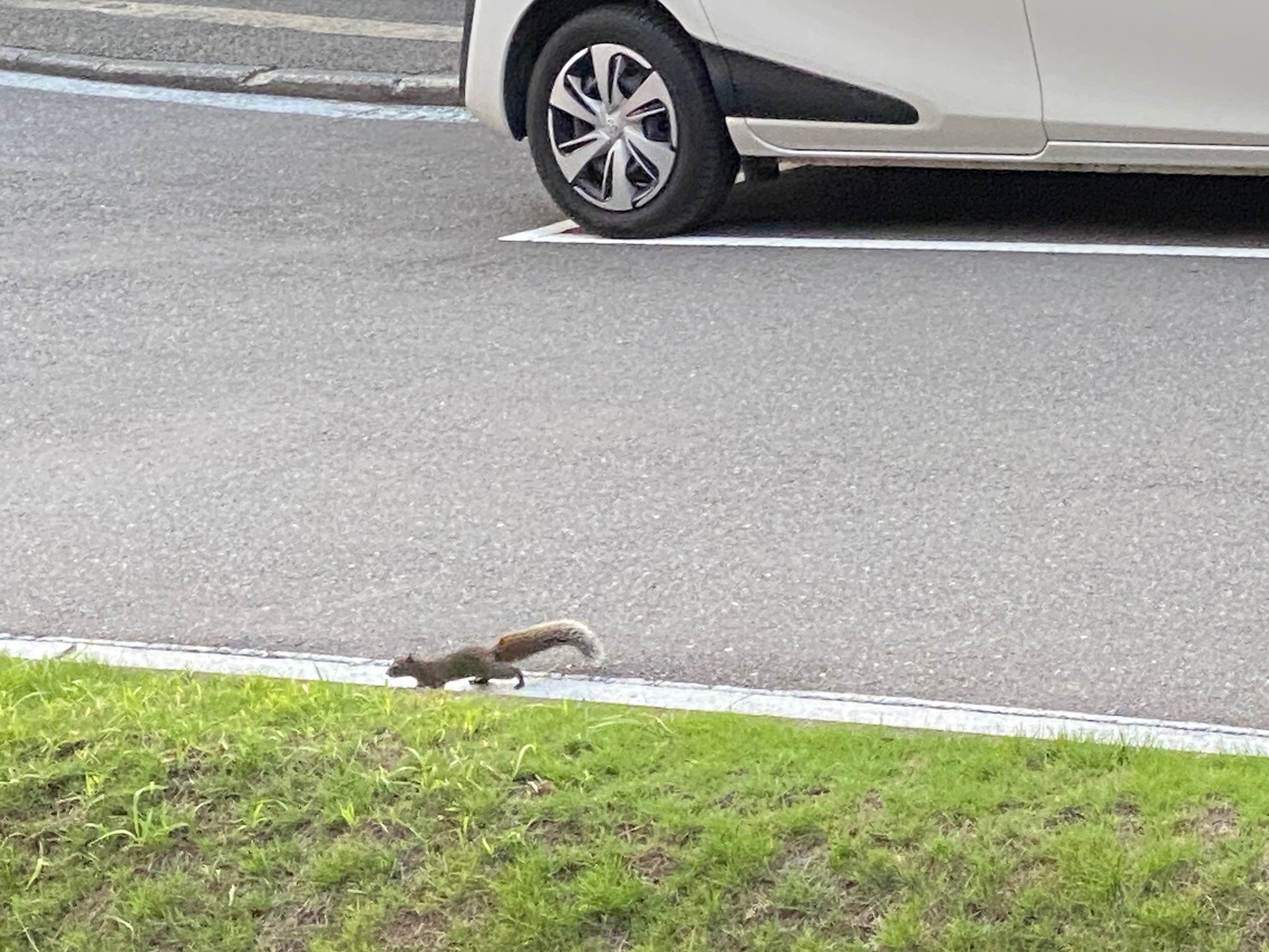 介護体験の学生さん