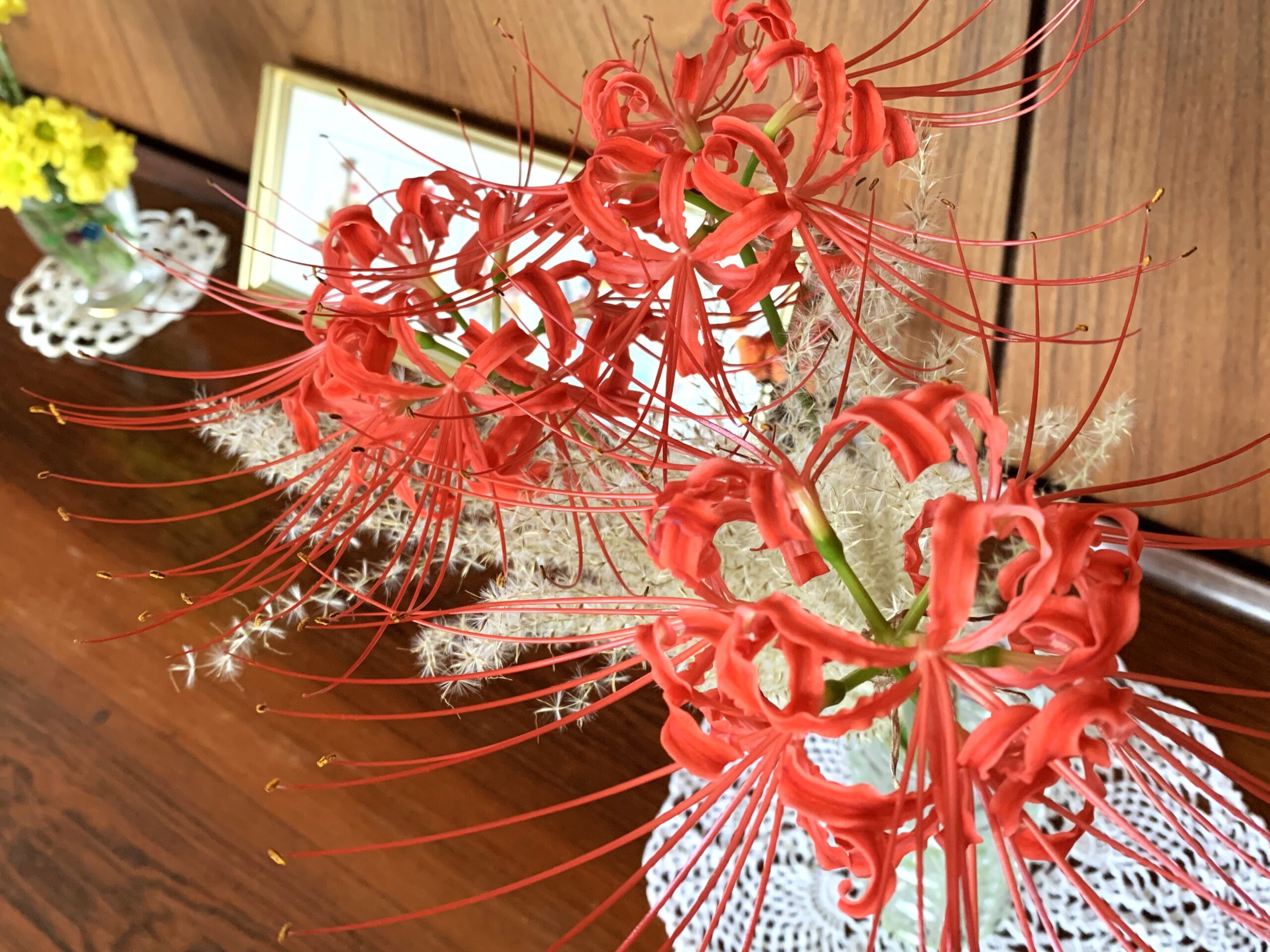収穫祭！～芋掘り～