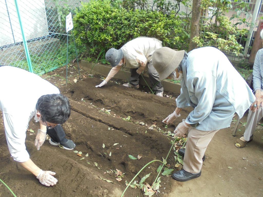 苗植えの様子３