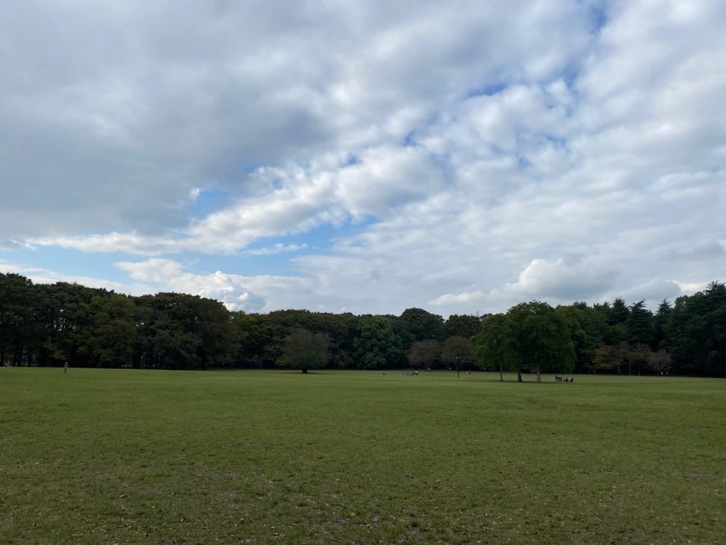 秋の小金井公園２