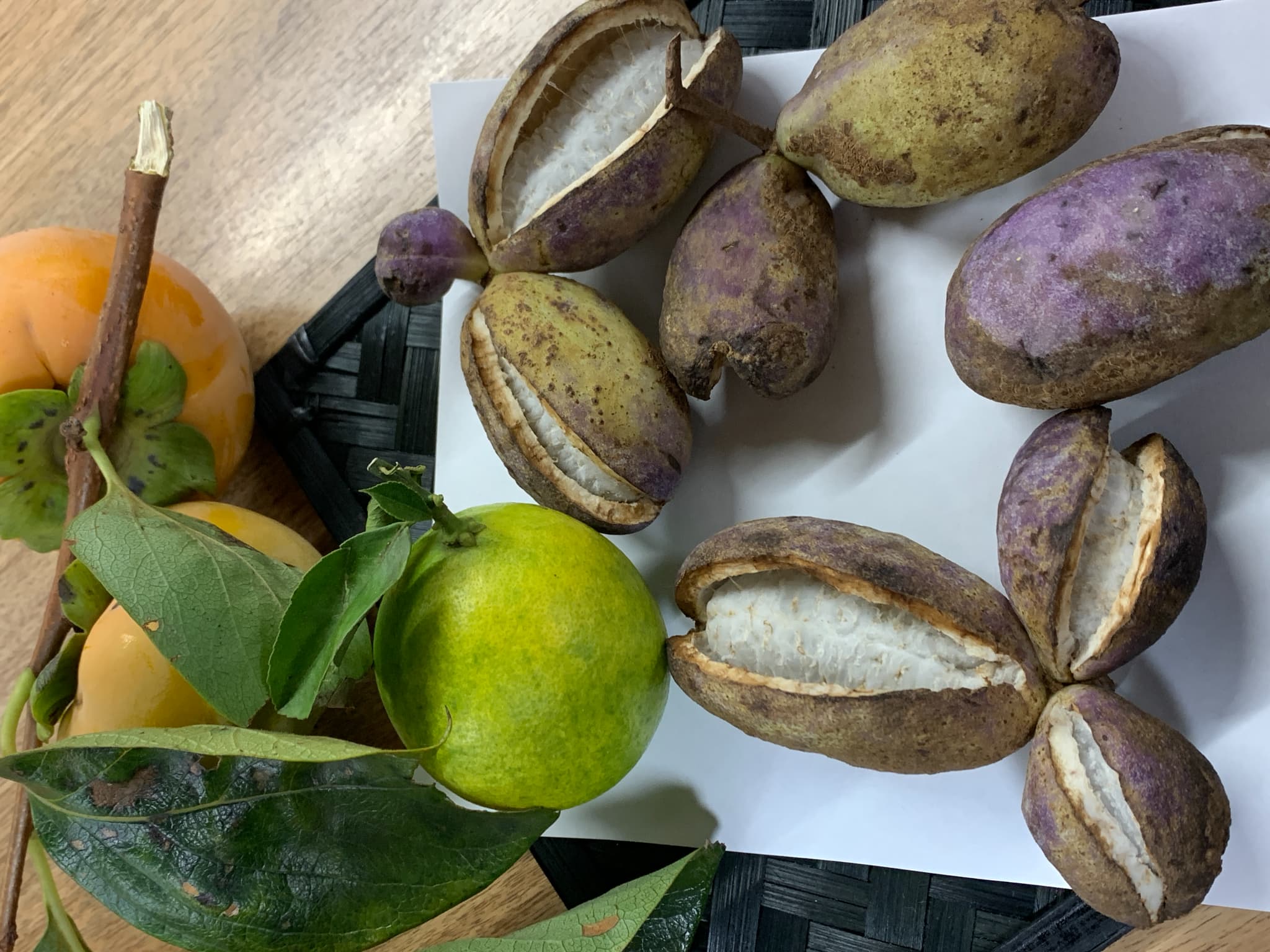 秋からの贈り物