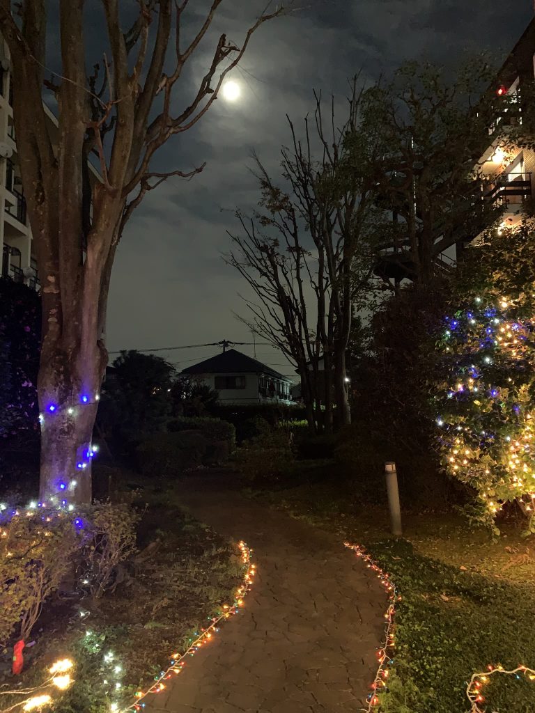 イルミネーション２