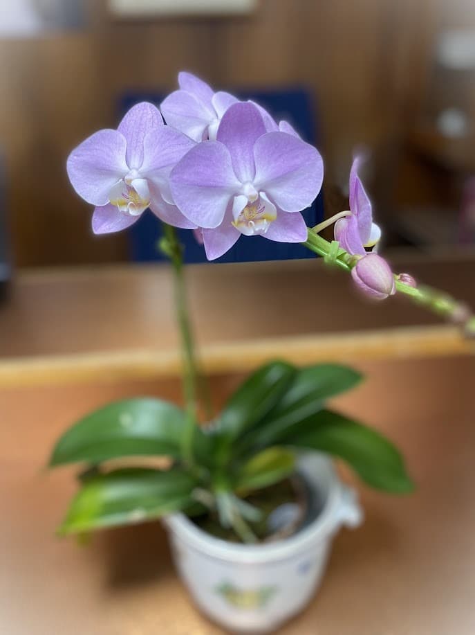 入居者様紹介＿S様２