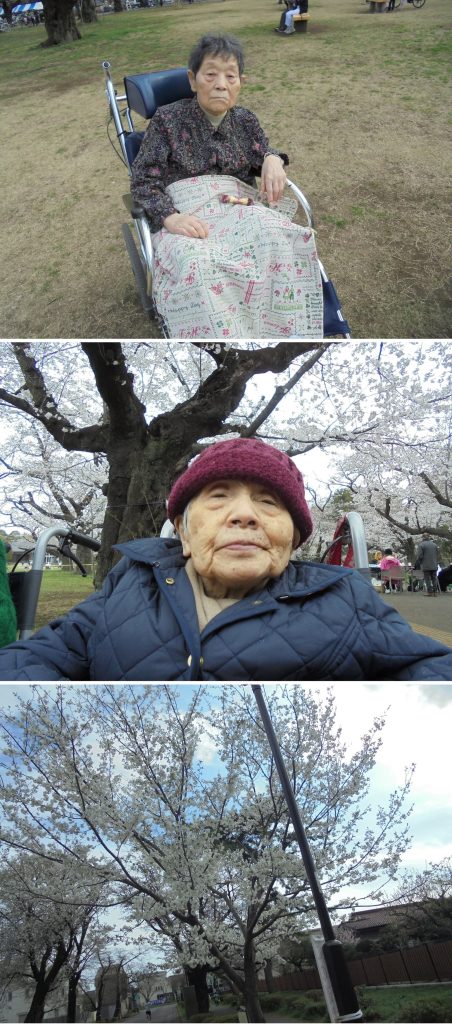お花見３