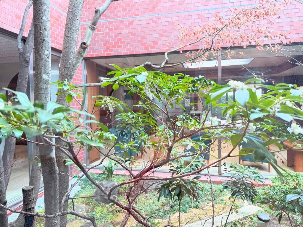 坪庭に咲いたお花３