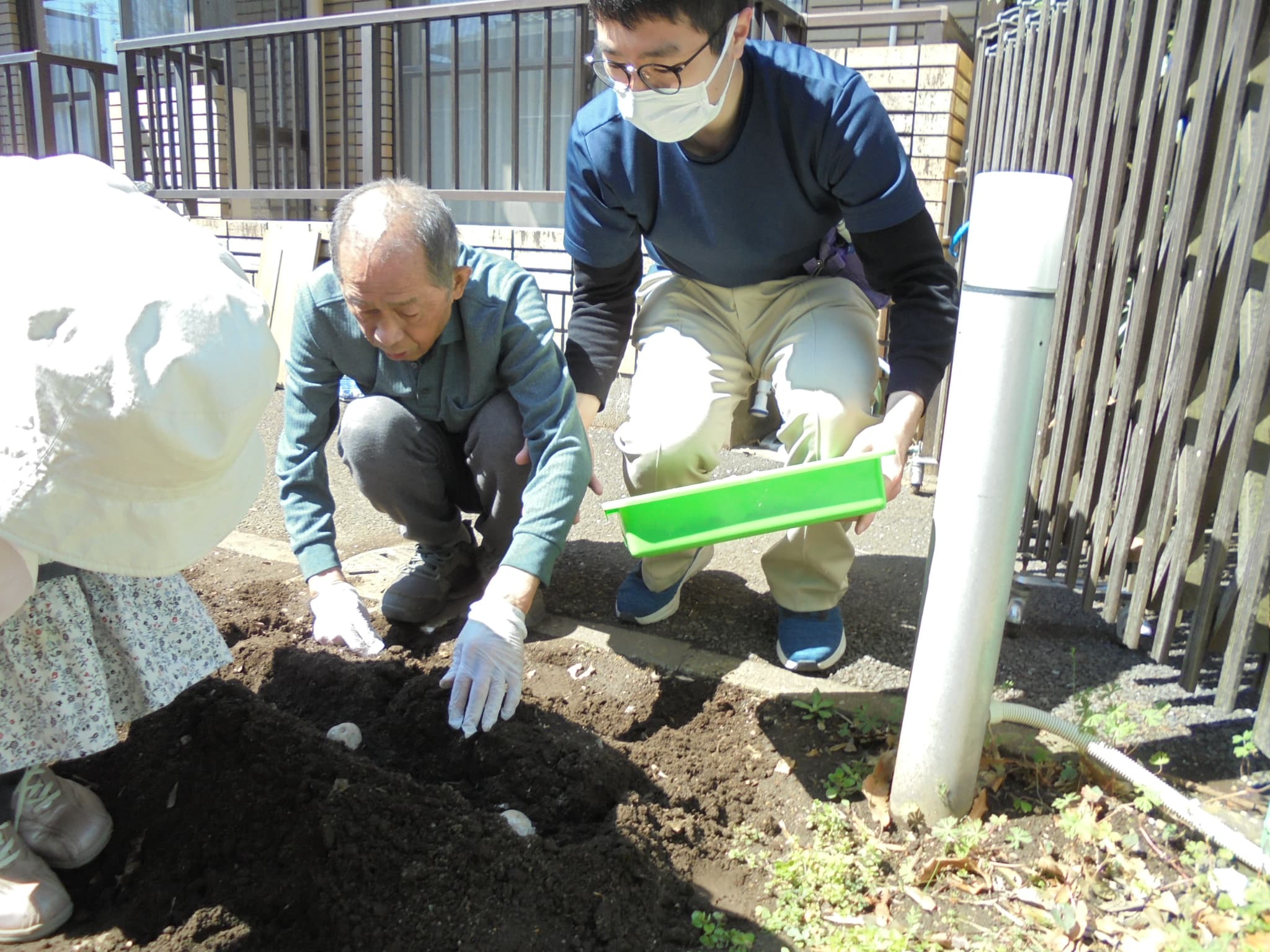 じゃがいも植え