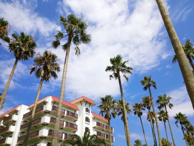 T様ご夫妻とこいのぼり🎏