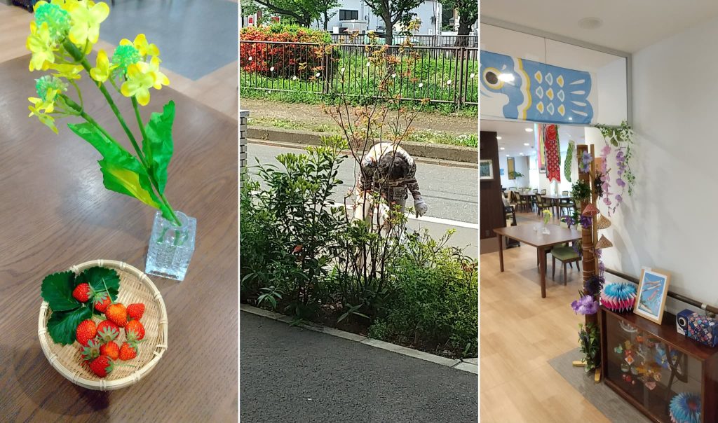 収穫したいちご４