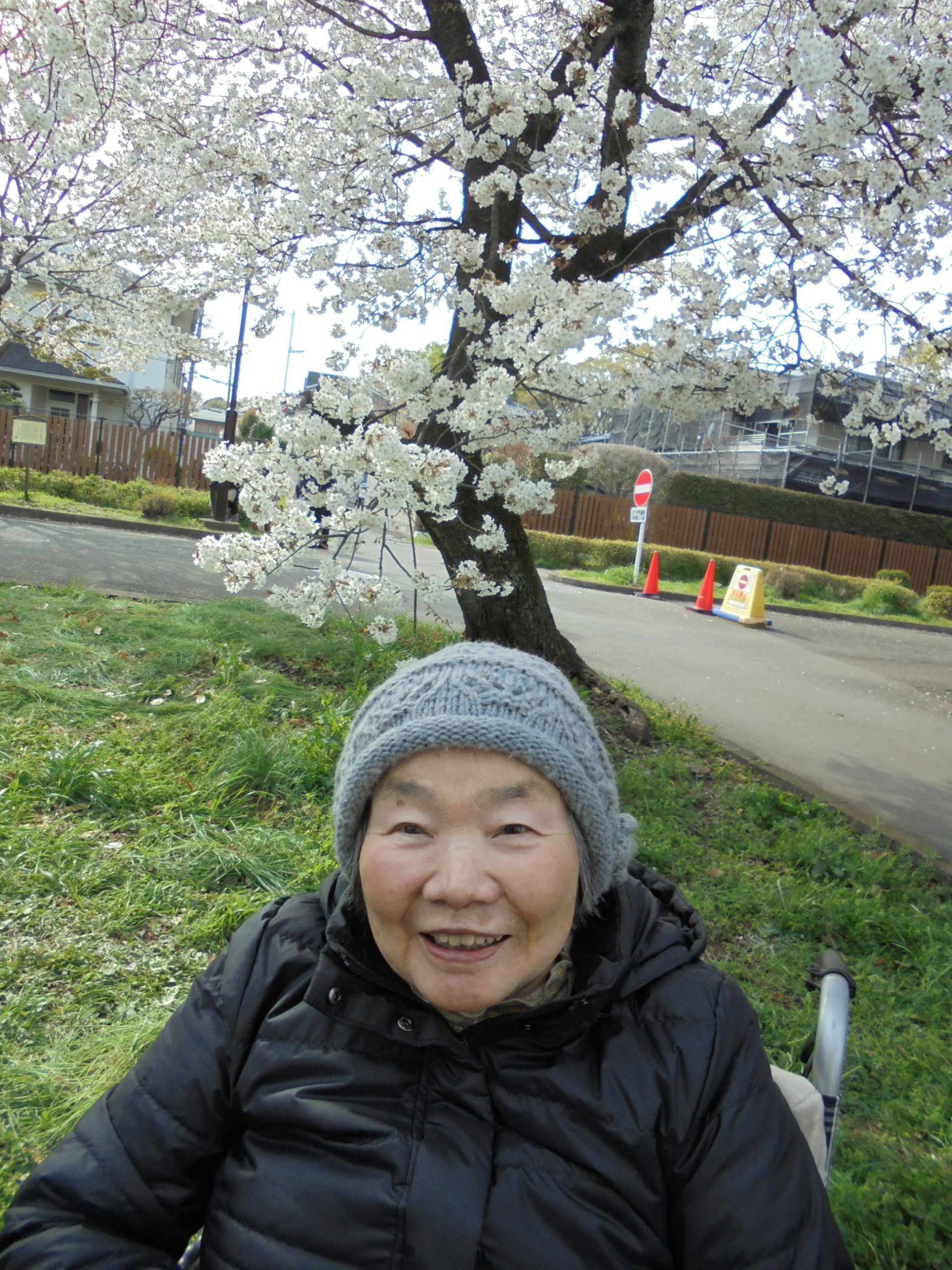 お花見🌸小金井パーク・ヴィラ