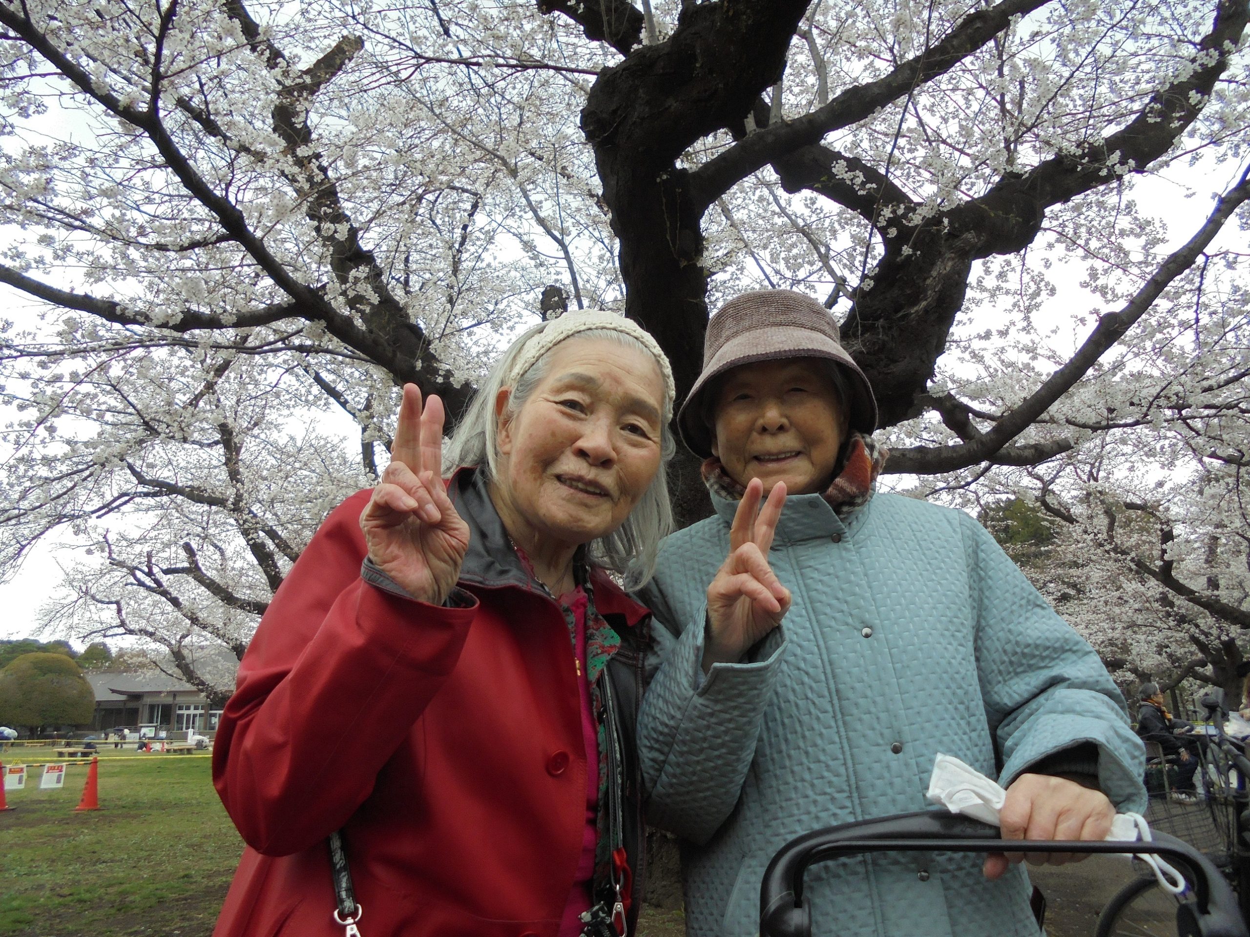 お花見日和♪