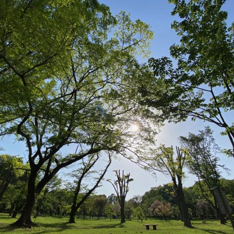 新しい季節の彩