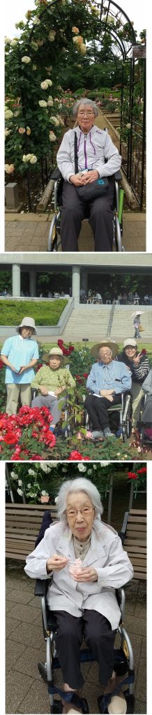 薔薇ツアー第二弾1