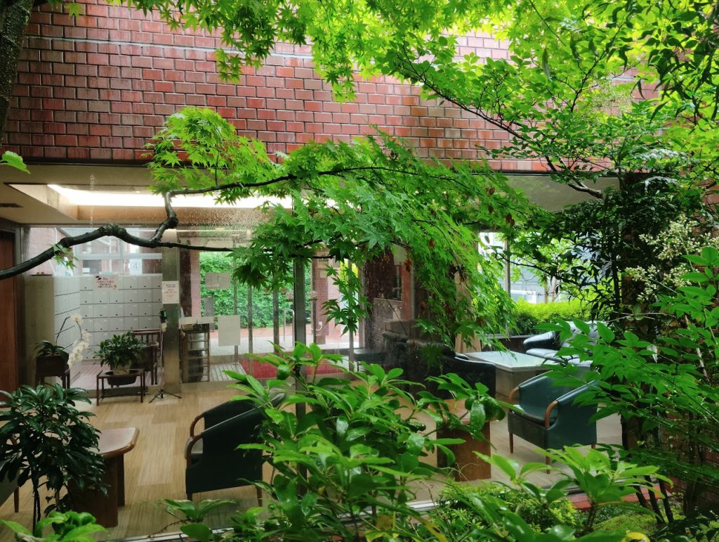 ある雨の日の様子1