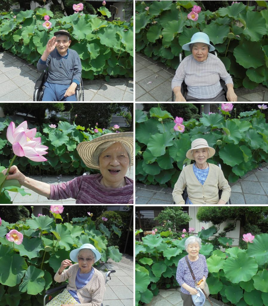 真蔵院の蓮の花3