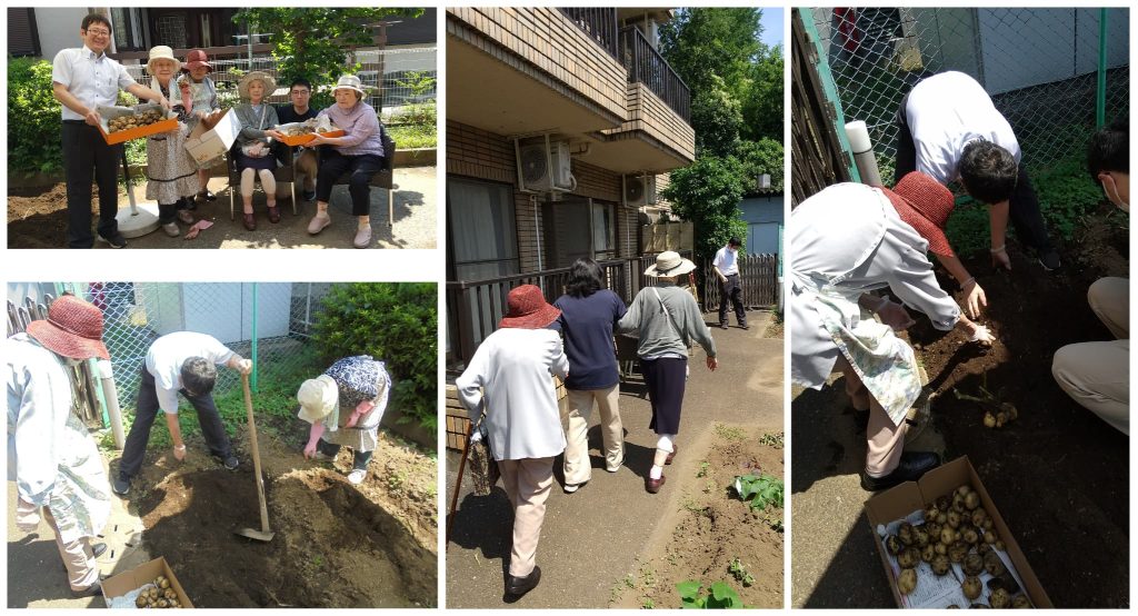 ジャガイモ掘り１