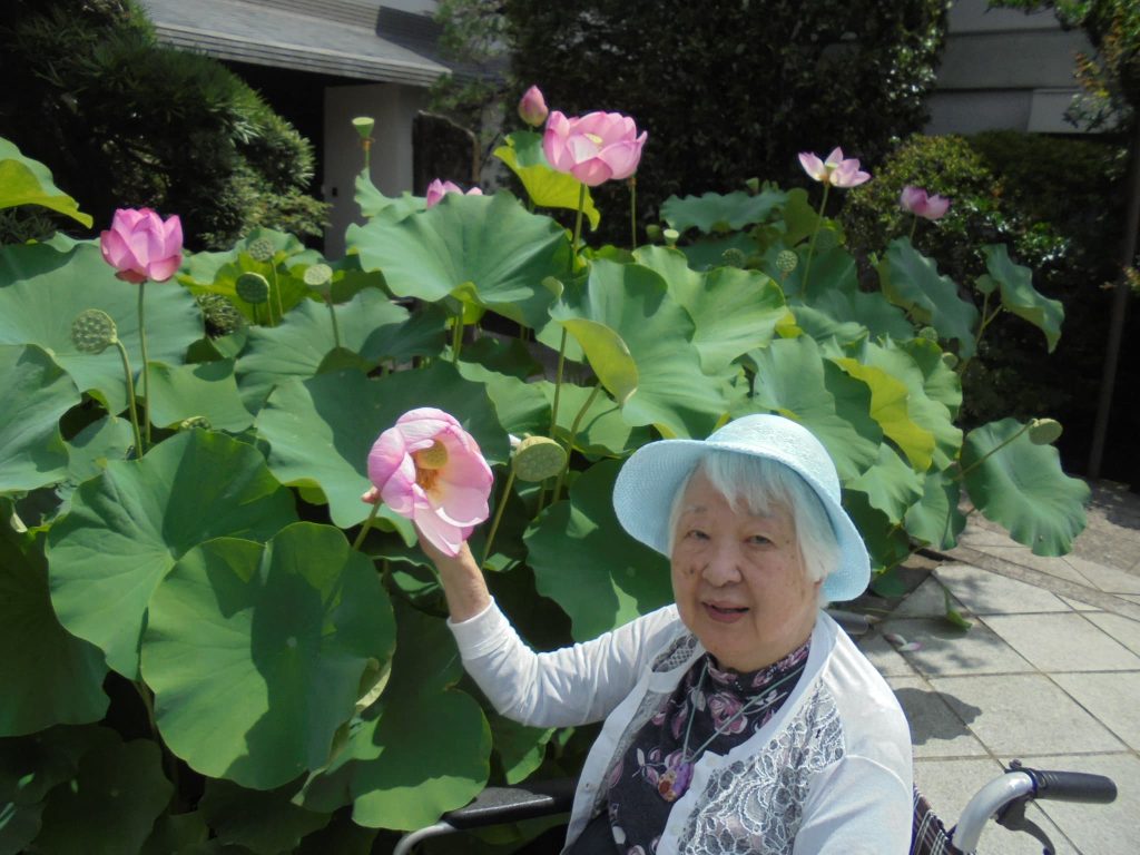 真蔵院の蓮の花4