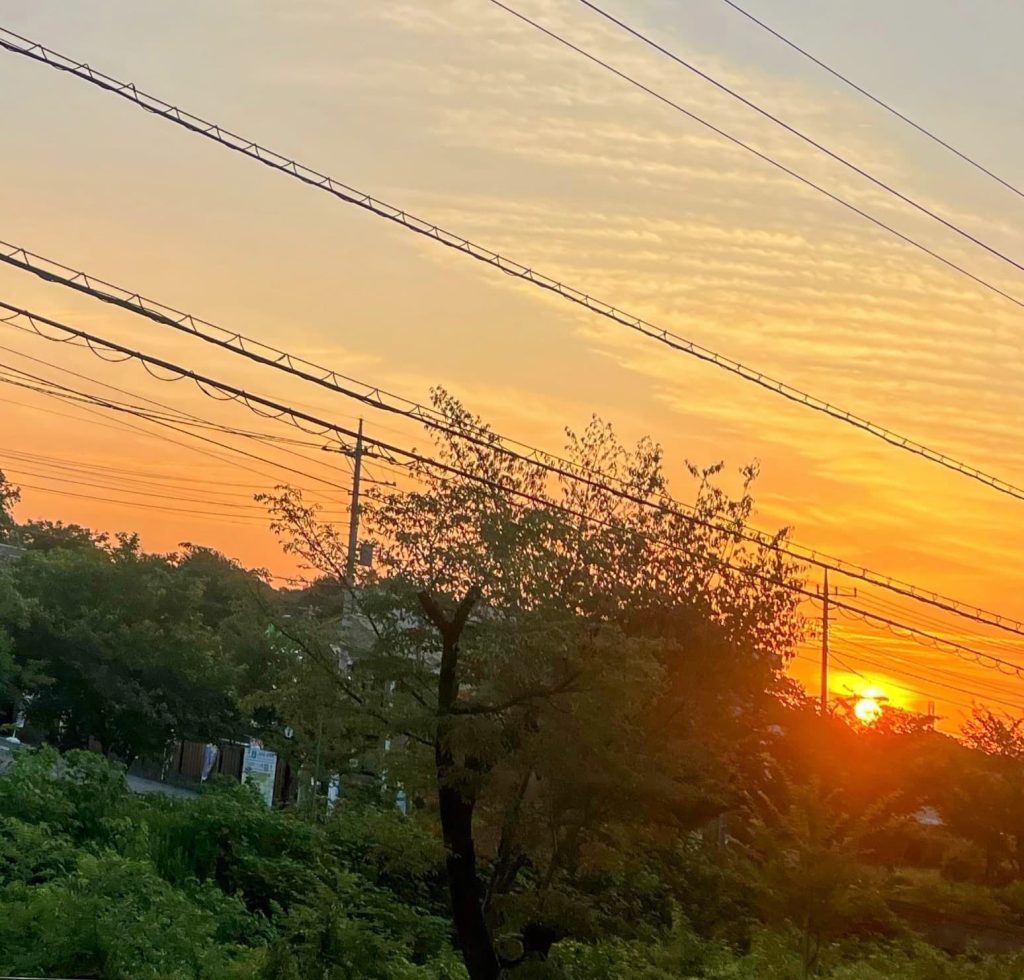 施設から見た朝日２