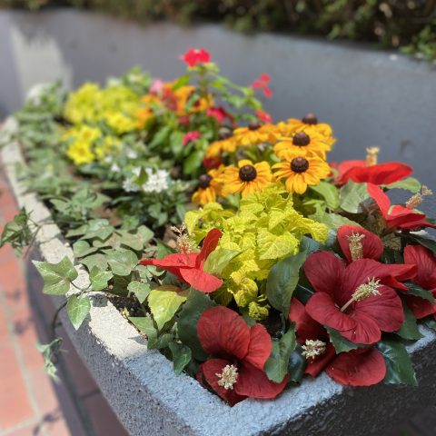 プランターが賑やかに♪