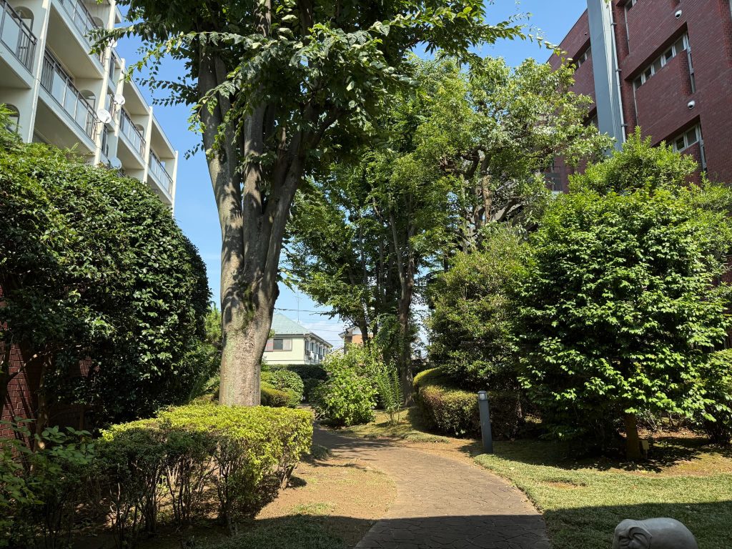 剪定された植木たち