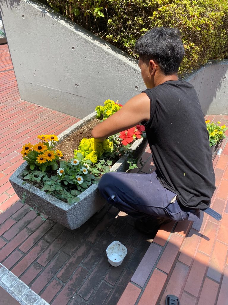 入れ替えの様子２