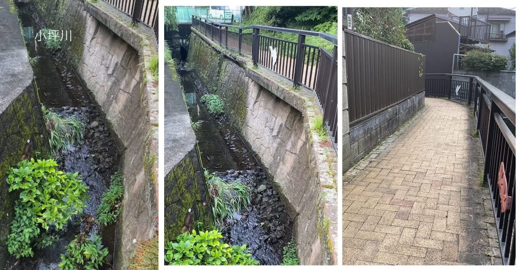 マンション周辺にて１