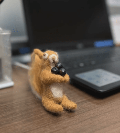 花笠音頭 in 小金井