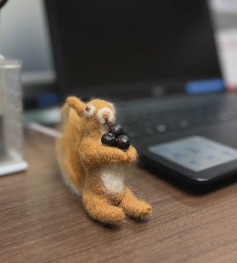 リス君いらっしゃい♪