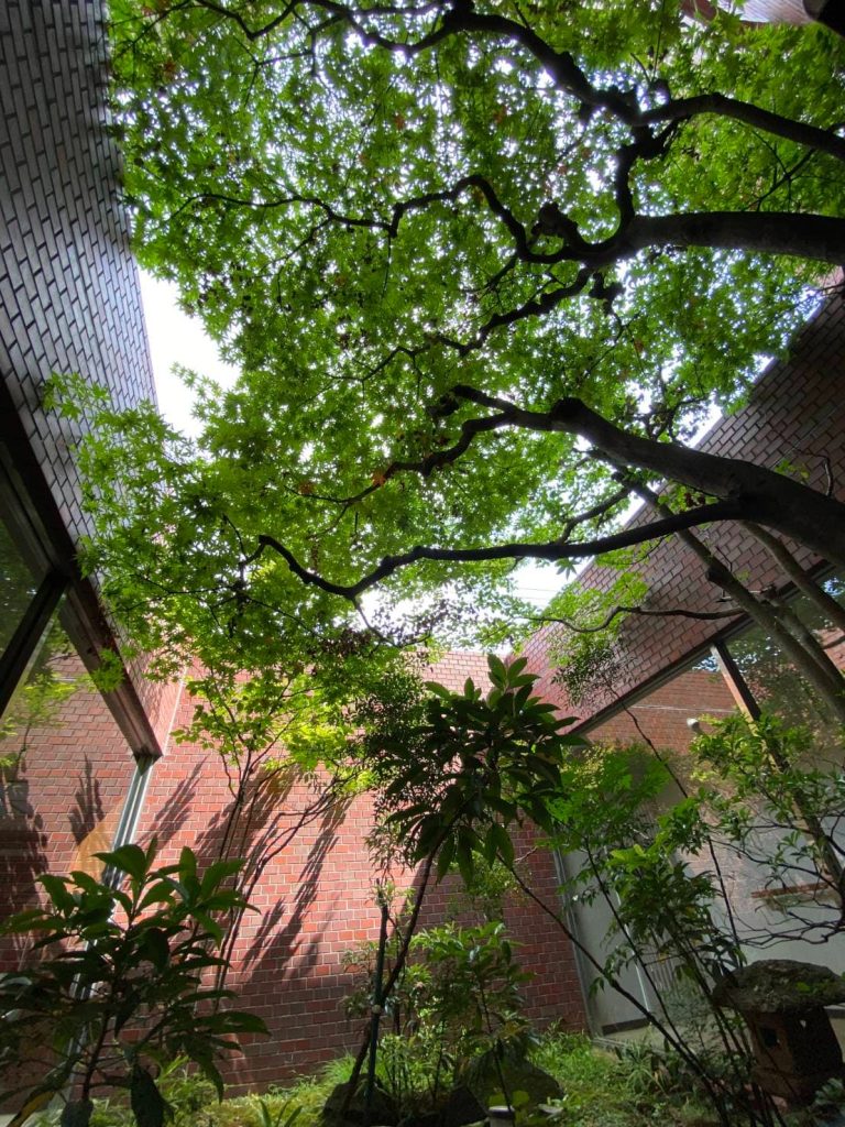 マンション坪庭１