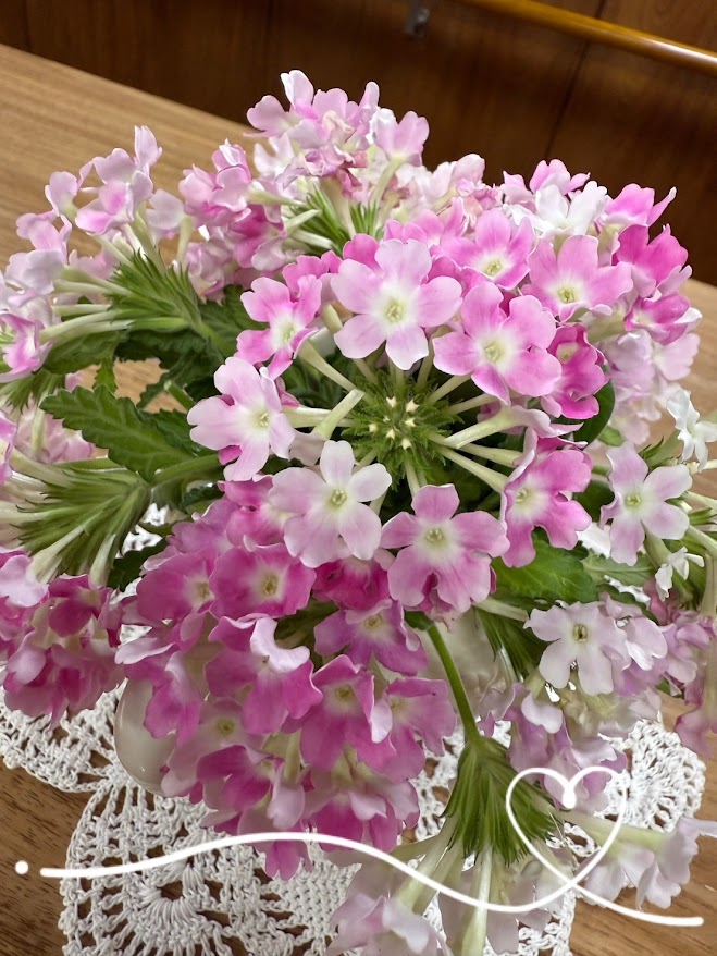 いろんなお花