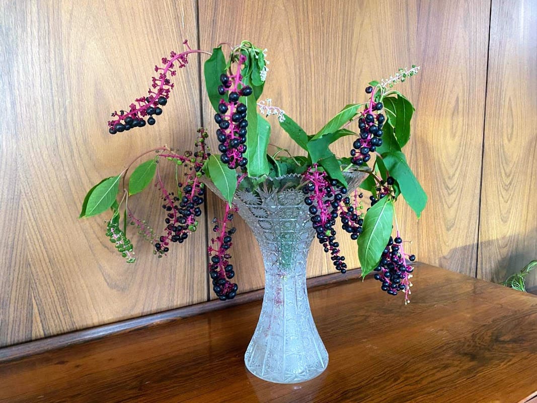 インクベリー✒️